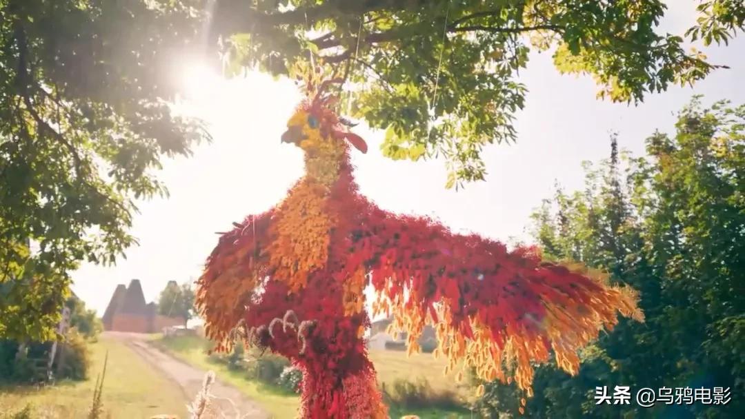 这也能拍出花?网飞又开挂了,每集都让我惊掉下巴