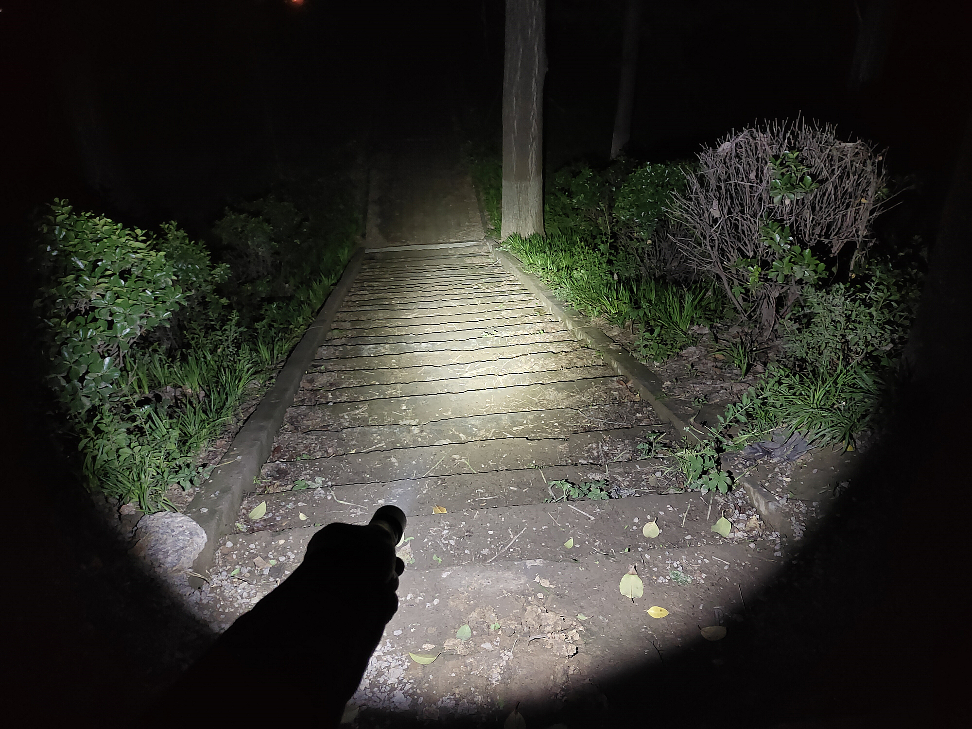 全面升级进化之作！Fenix菲尼克斯C60V3.0手电赏评