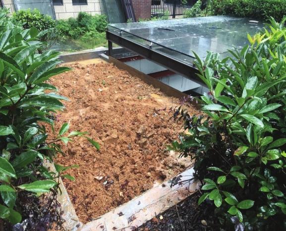 岳阳违建案例,岳阳违建整治