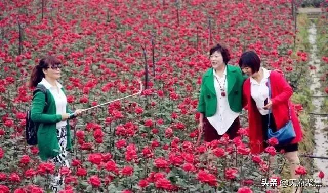 仁寿夏季旅游景区,2020仁寿旅游