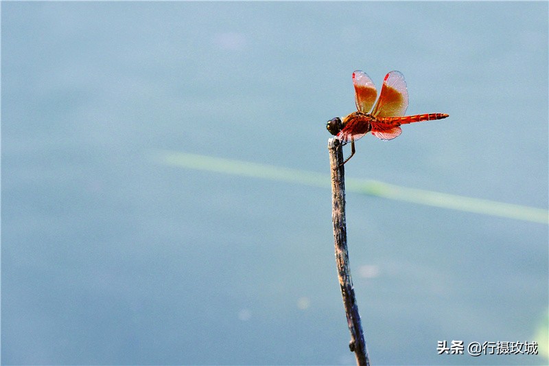 平阴县毛铺八里沟,平阴安城毛铺水库