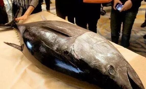 最顶级的5种海鲜,盘点我吃不起的五大顶级海鲜