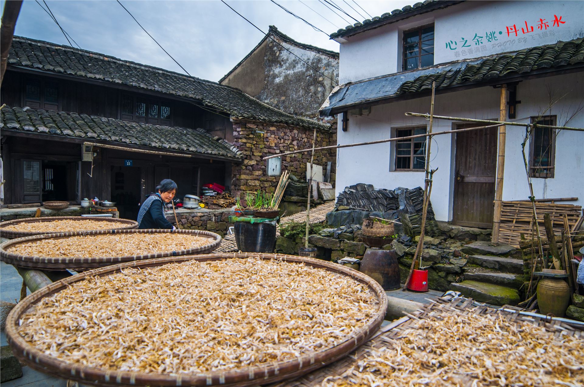 丹山赤水的老柿林景区,丹山赤水柿林古村