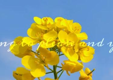 别再去挤故宫了！天津这些地界儿，足够你制霸五一朋友圈！