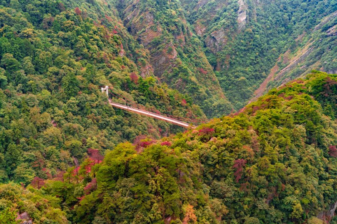 隐居南山深度解析,中国最适合隐居的山是哪座山