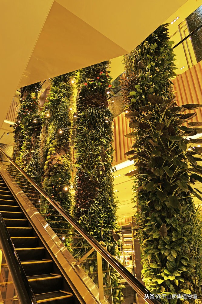 美丽的景观商店效果图,大型仿真植物商业街景观造景装饰