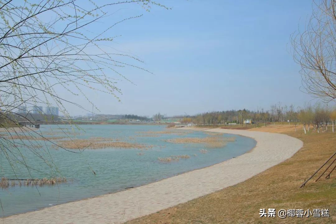 郑州适合晨跑的地方,郑州晨跑圣地