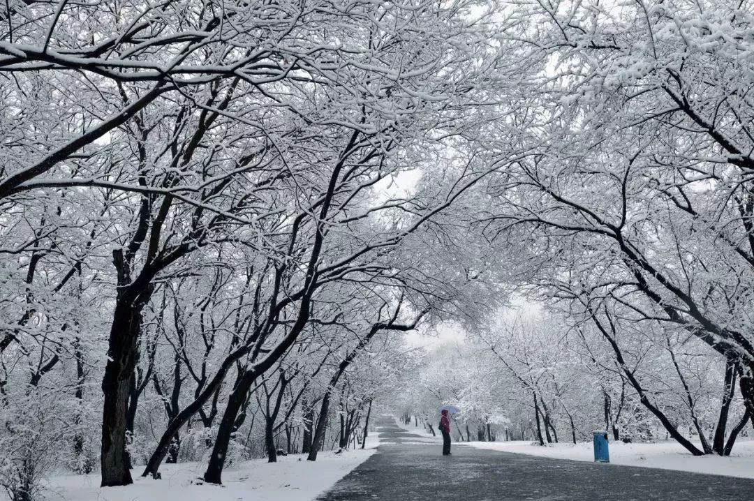 机票价格优惠哪里值得旅游,机票优惠国内旅游推荐什么