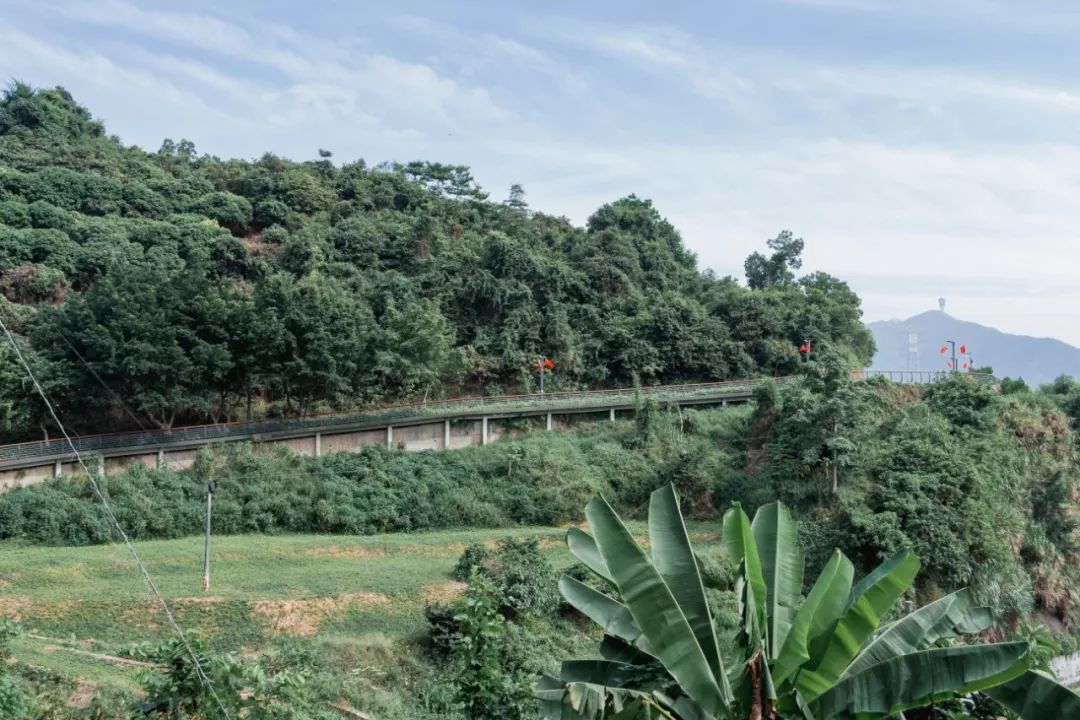 又发现深圳一个“绝美打卡地”!“淘金”绿道,人少免费