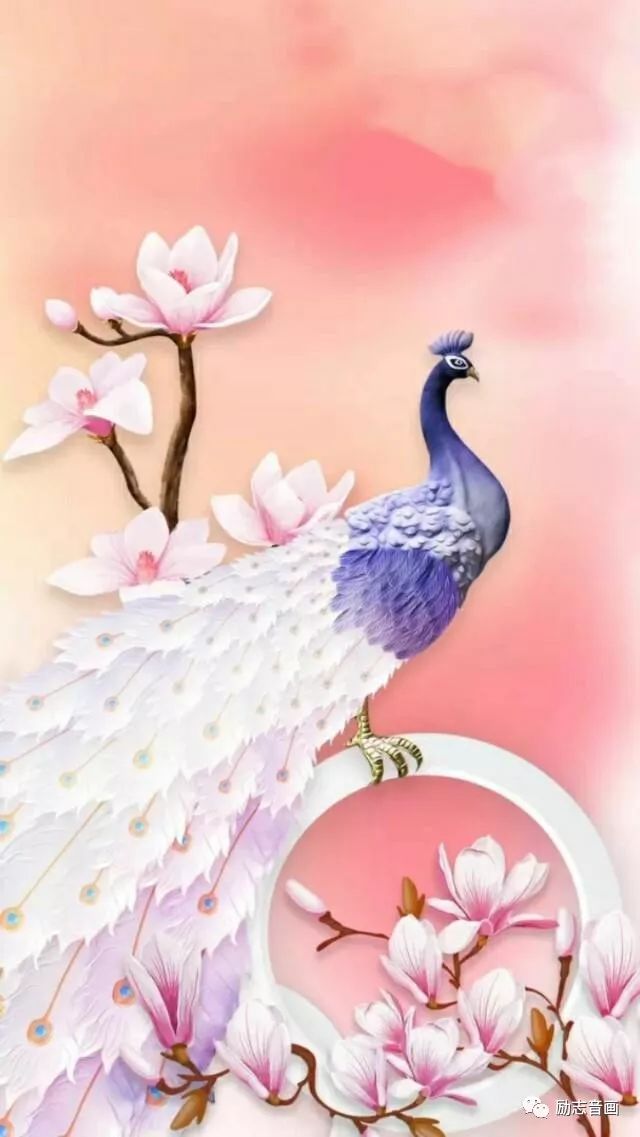 2020年绝美挂历送给你,天下第一福挂历2019年