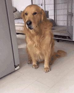 和女生去漂流怎么推进感情,怎么约女生去漂流