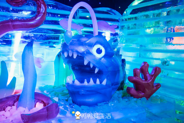 玩转厦门方特冰雪节,厦门方特跨年夜攻略