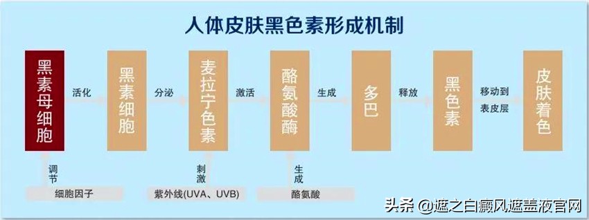 治疗白癜风时务必重视这几大事项,外用药治疗白癜风