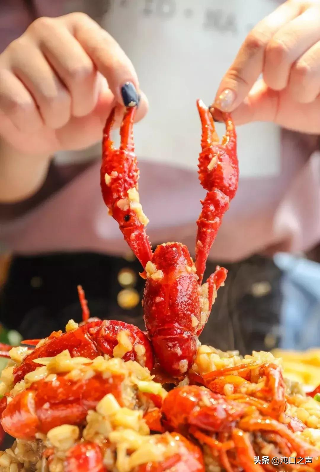 武汉头牌虾庄,武汉虾庄折扣