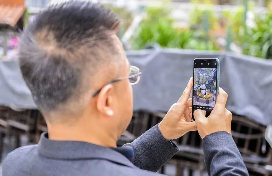 成都成华区最美乡镇,成都成华区最美街道