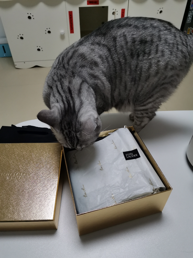 雅诗兰黛小棕瓶的精华抗衰老,雅诗兰黛小棕瓶是修护精华吗