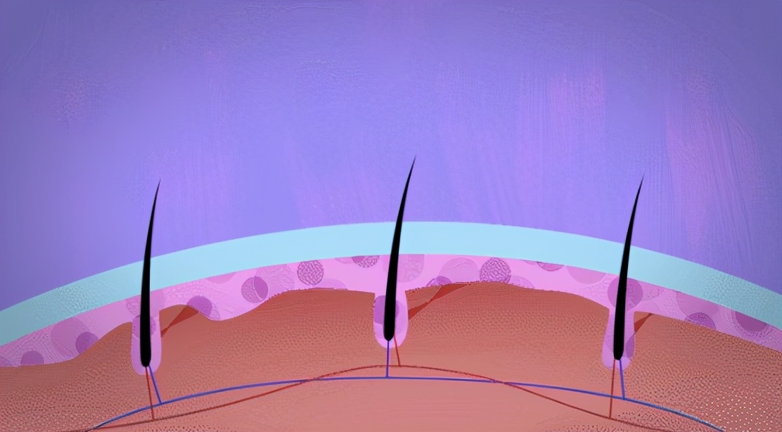 防脱洗发水真相大揭秘,话说防脱洗发水真的有用吗