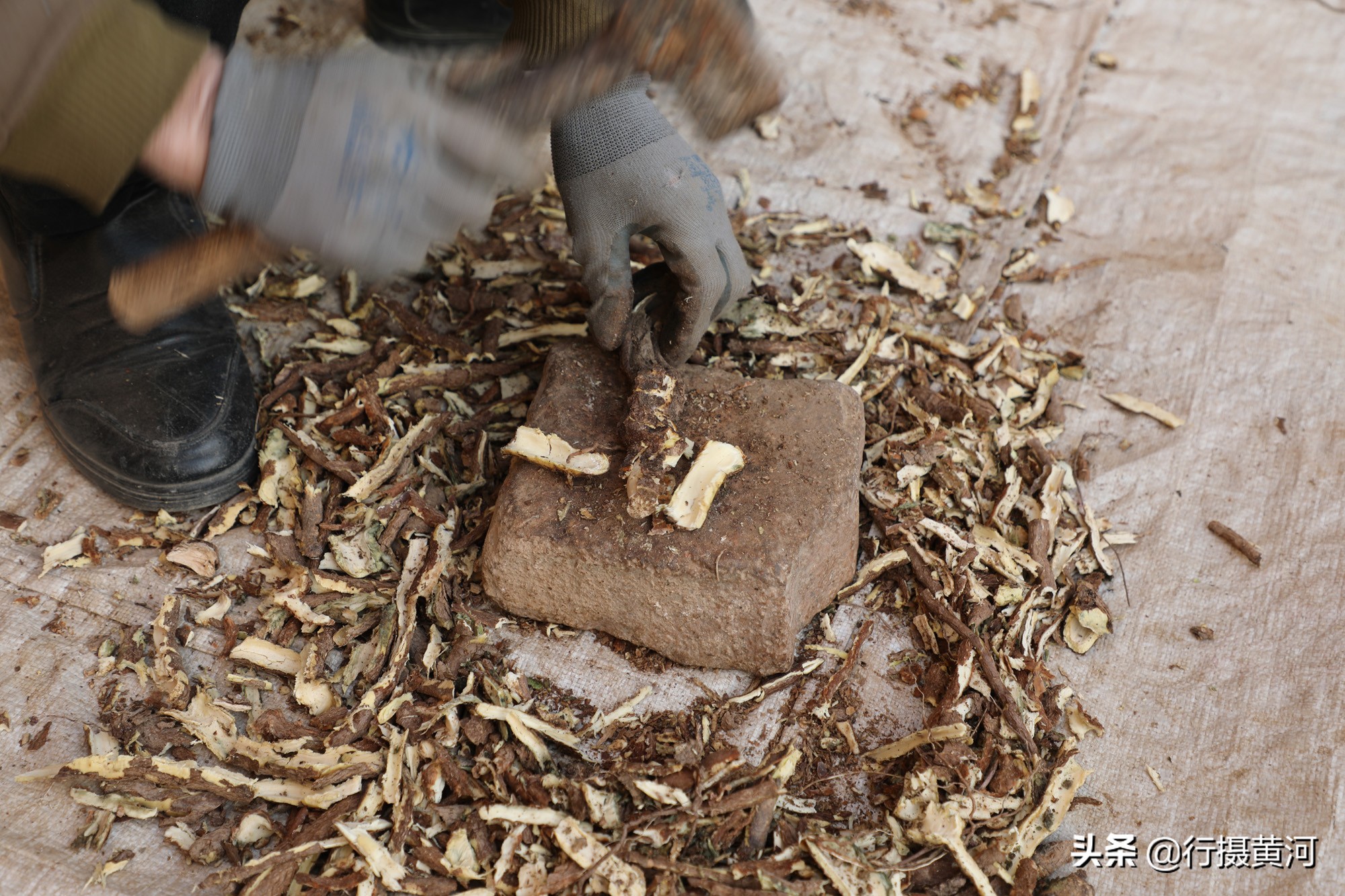 六十五岁大妈打工,65岁大妈打工视频