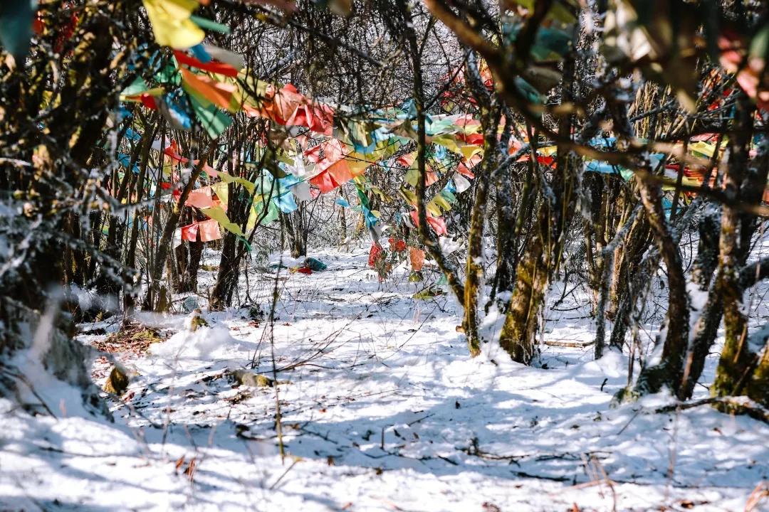 成都天台山景区自驾游攻略,成都天台山玩雪