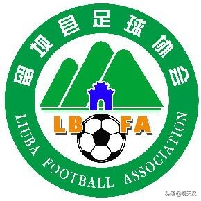 汉中市留坝县足球协会,留坝足球国家队