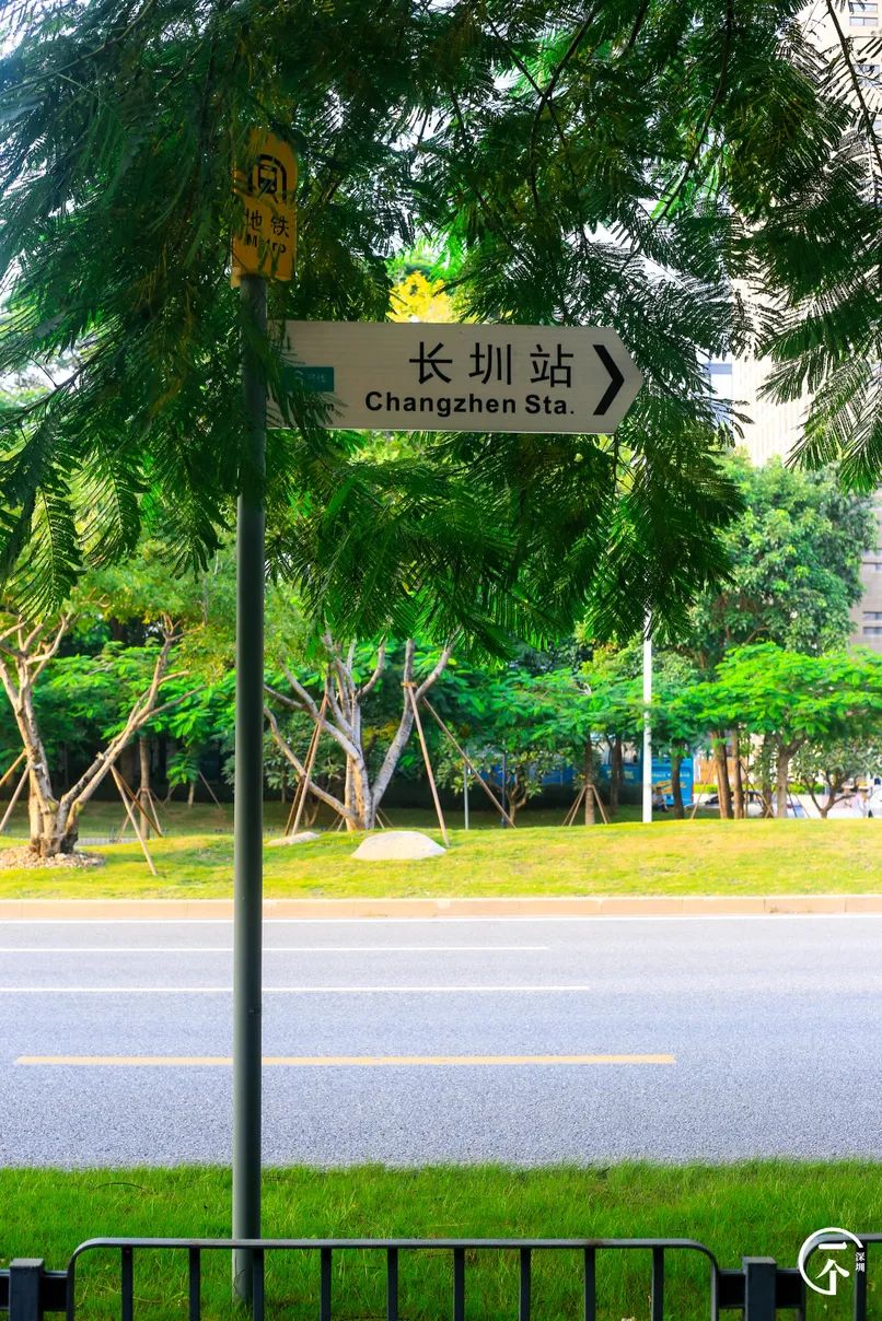 如何在深圳找租房,深圳还有月租300元的房子吗