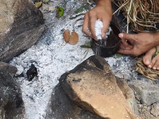 在野外没有盐怎么办,在野外怎么能够弄到盐