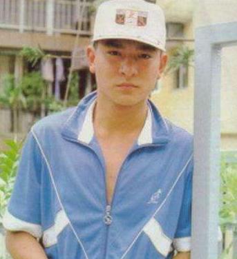 刘德华为什么那么受人推崇,刘德华业内评价