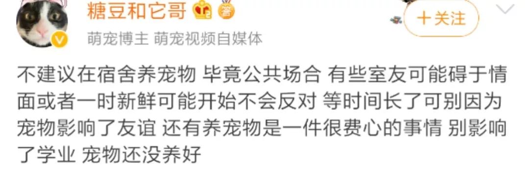 那些年舍友养过的奇葩宠物,你们身边的人都养什么奇怪的宠物