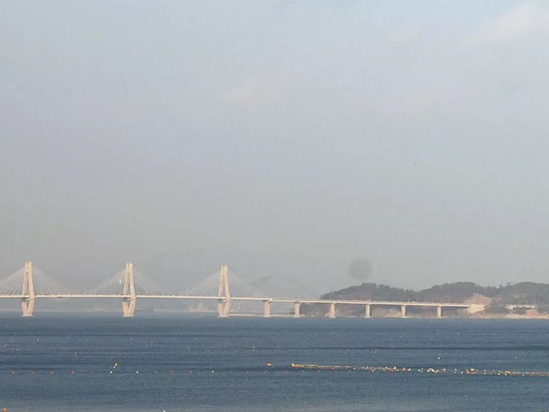 港珠澳大桥的桥梁是怎样建造的,中国十大杰出桥梁港珠澳大桥简介