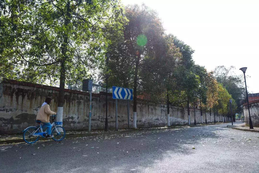 都江堰天府绿道骑行路线图,都江堰周边最美骑行路线