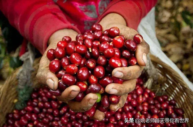 2月旅游灵感,旅游2月攻略最佳自由行