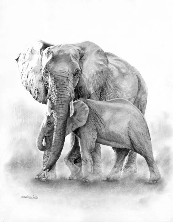 绱犳弿鍏ラ棬鍔ㄧ墿,绱犳弿鍔ㄧ墿瑙ｆ瀽