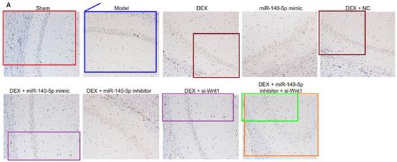 华北理工大学唐山人民医院,华北理工大学唐山医学院