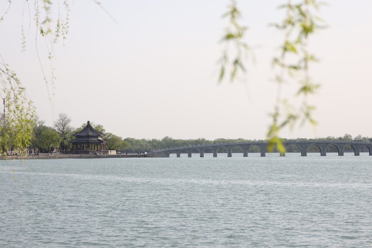 佳能rf镜头性价比高的推荐,佳能rf广角镜头最便宜的推荐