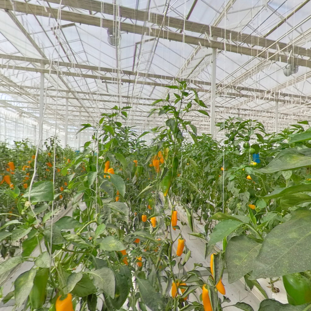 农业连栋温室大棚补贴标准,吉林连栋温室大棚一亩地多少钱