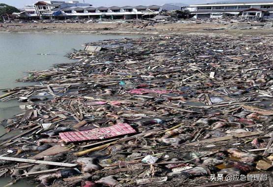 海啸应急科普,海啸自救常识幼儿