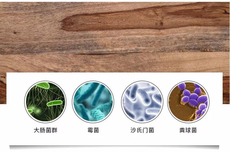 不锈钢防霉抗菌砧板,德国304不锈钢菜板抑菌双面