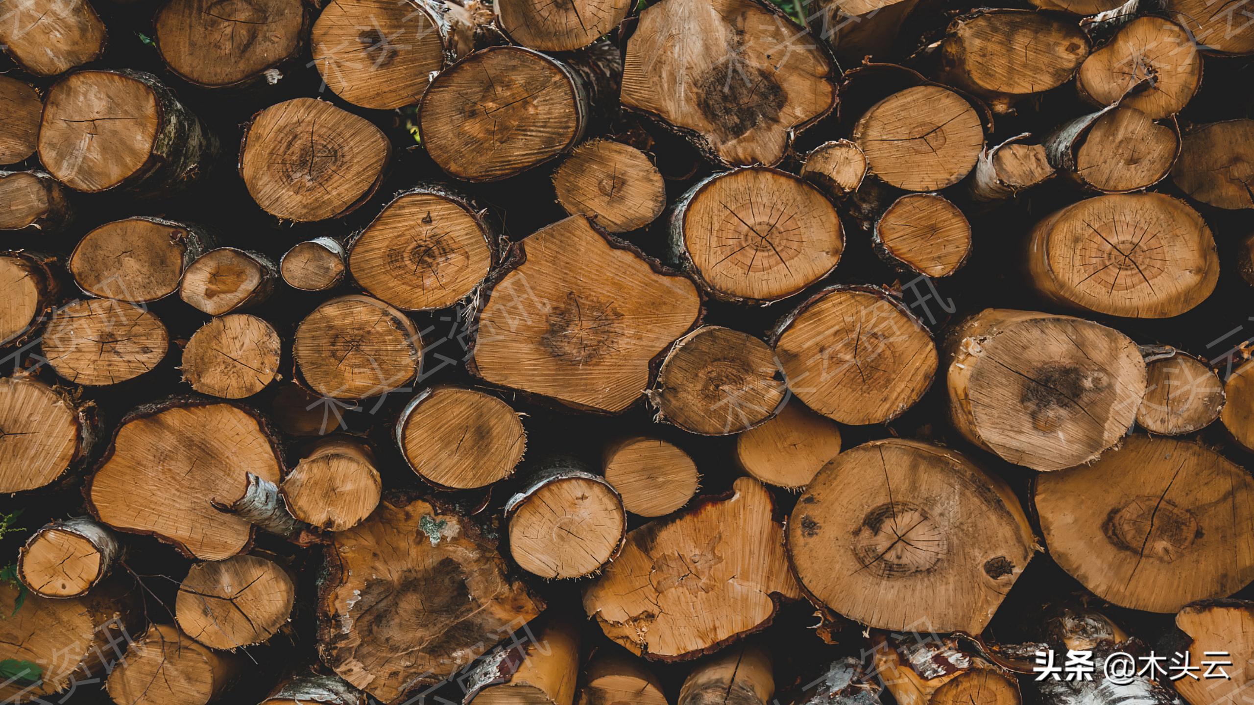 木材指数,国家统计局官网物价指数