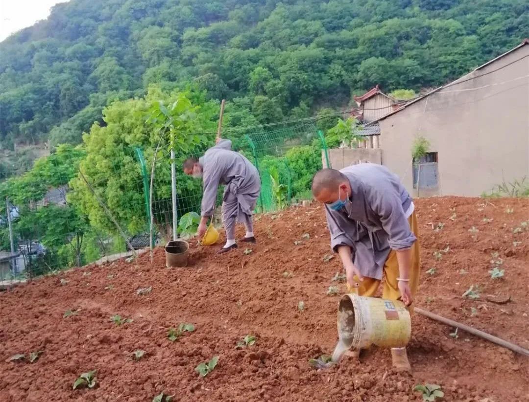 抢抓农时开展农业生产,农民纷纷抢抓春耕生产有利时机