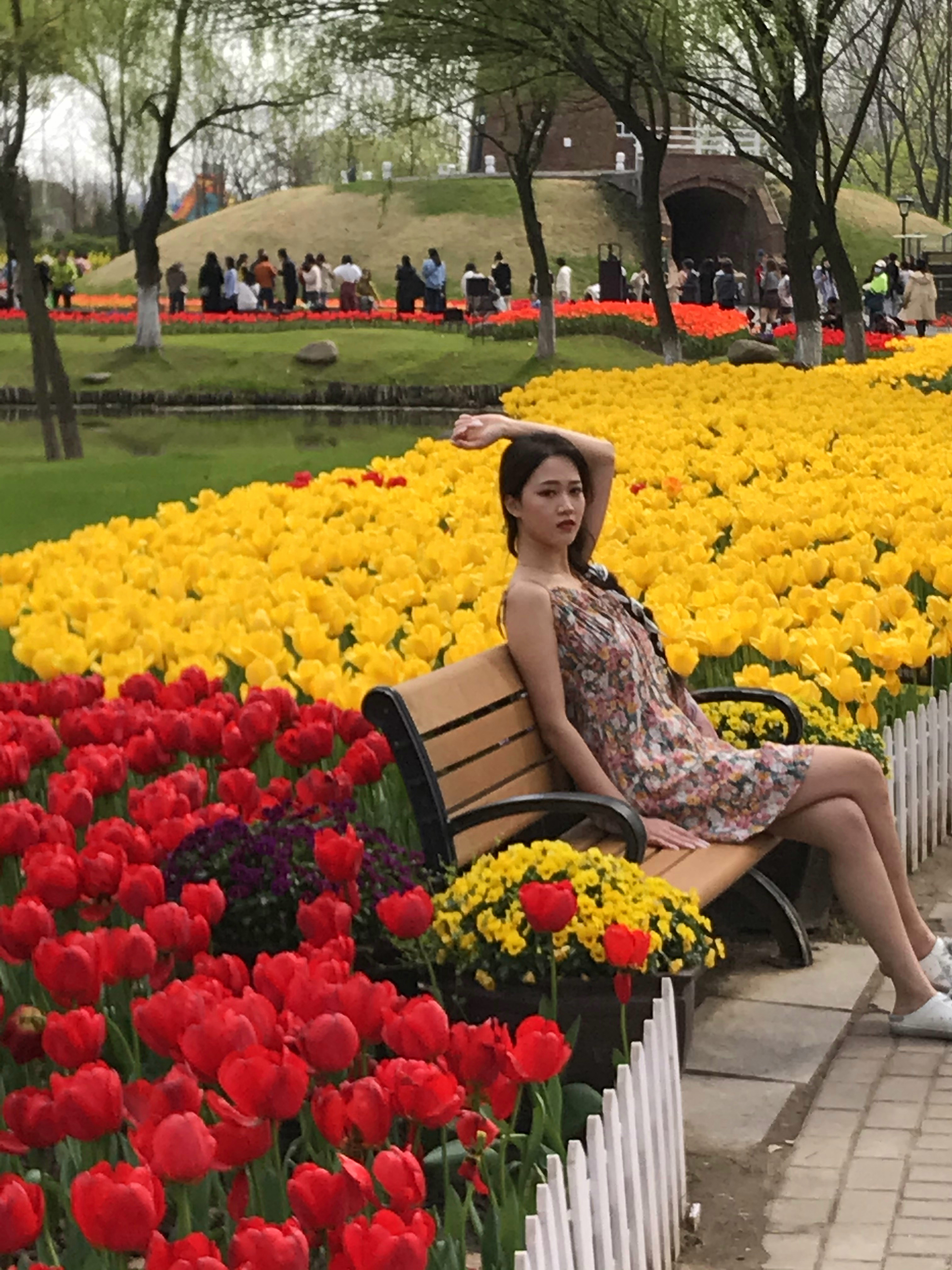 荷兰风情花园,南京绿博园的美丽