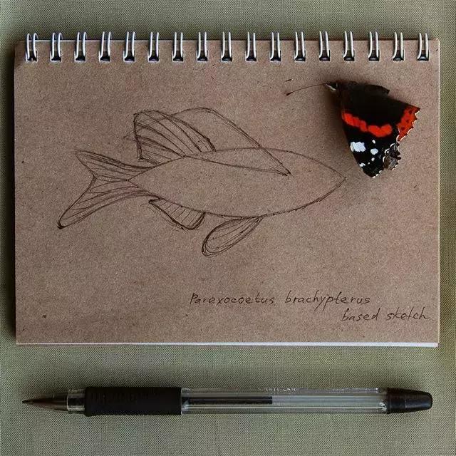 当一个程序员迷上了刺绣，就算手骨折了也无法阻止她……