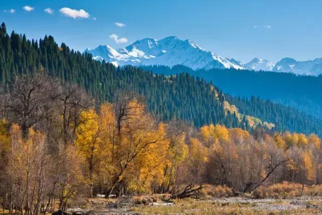 国家认证！*疆新**又一城市成为“中国天然氧吧”，大自然“空调房”就在……