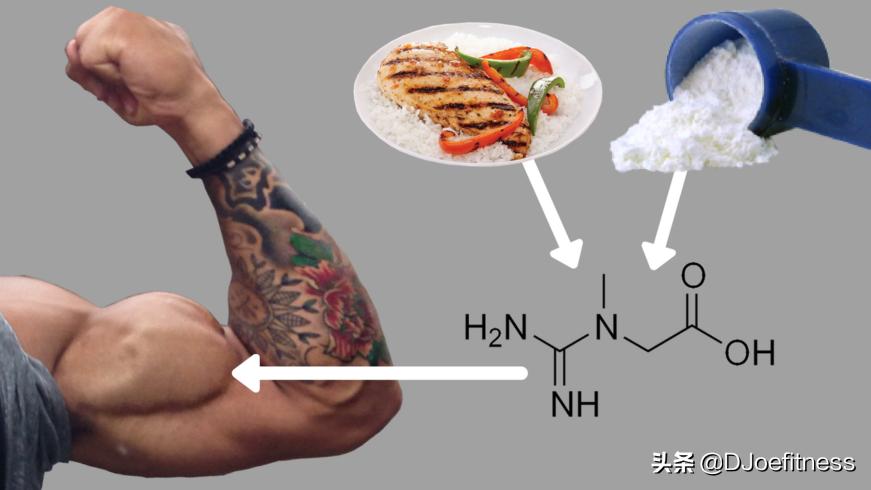 健身新手想增肌有必要吃肌酸吗,健身肌酸的功效与作用