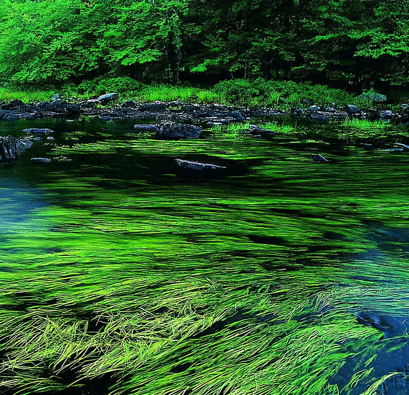 现代教育的缺失和遗憾,襄城县现状