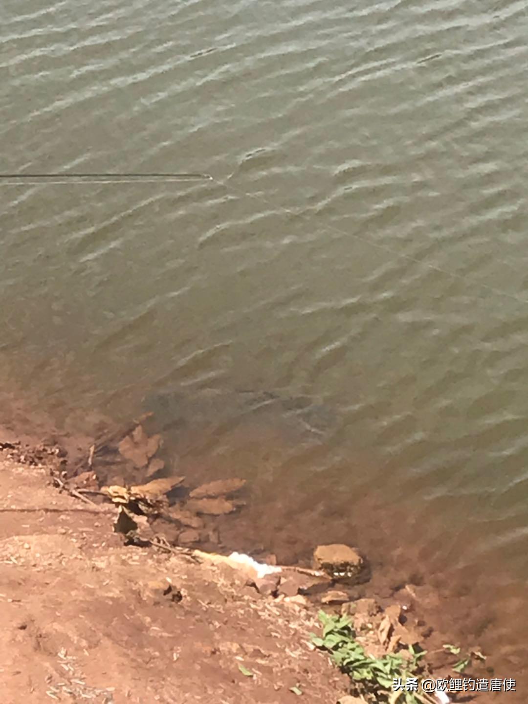 夏季下雨过后钓鱼应如何选择钓位,夏季垂钓这3个钓位上鱼超多