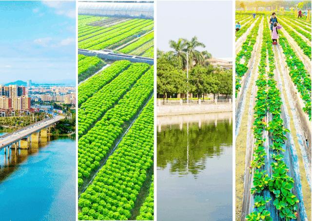 重磅!石碣镇入围2019年度全国百强镇,东莞还有这些镇上榜!