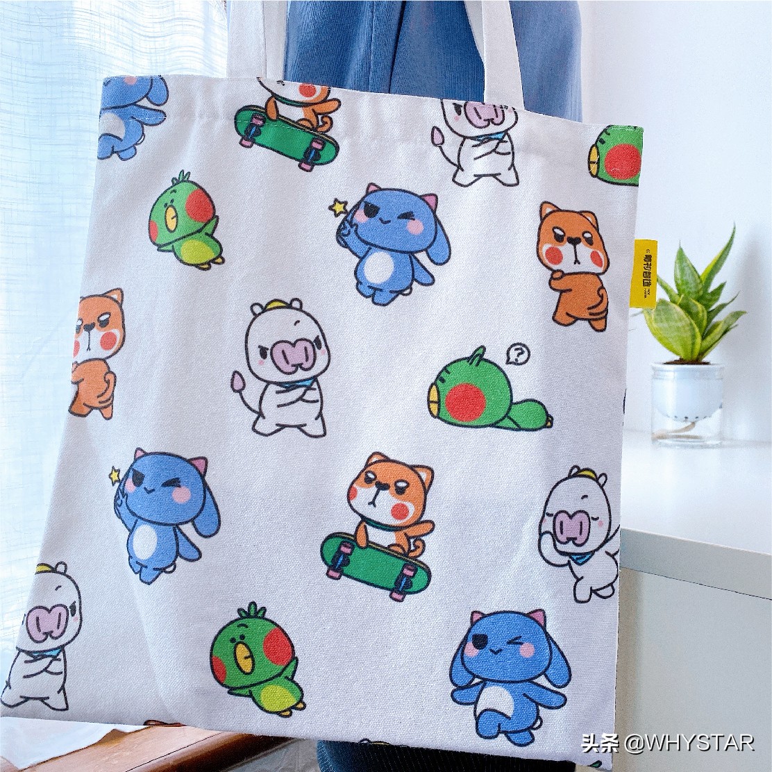 韩系帆布包ins慵懒风小众有拉链,适合学生党的ins帆布包原创小众