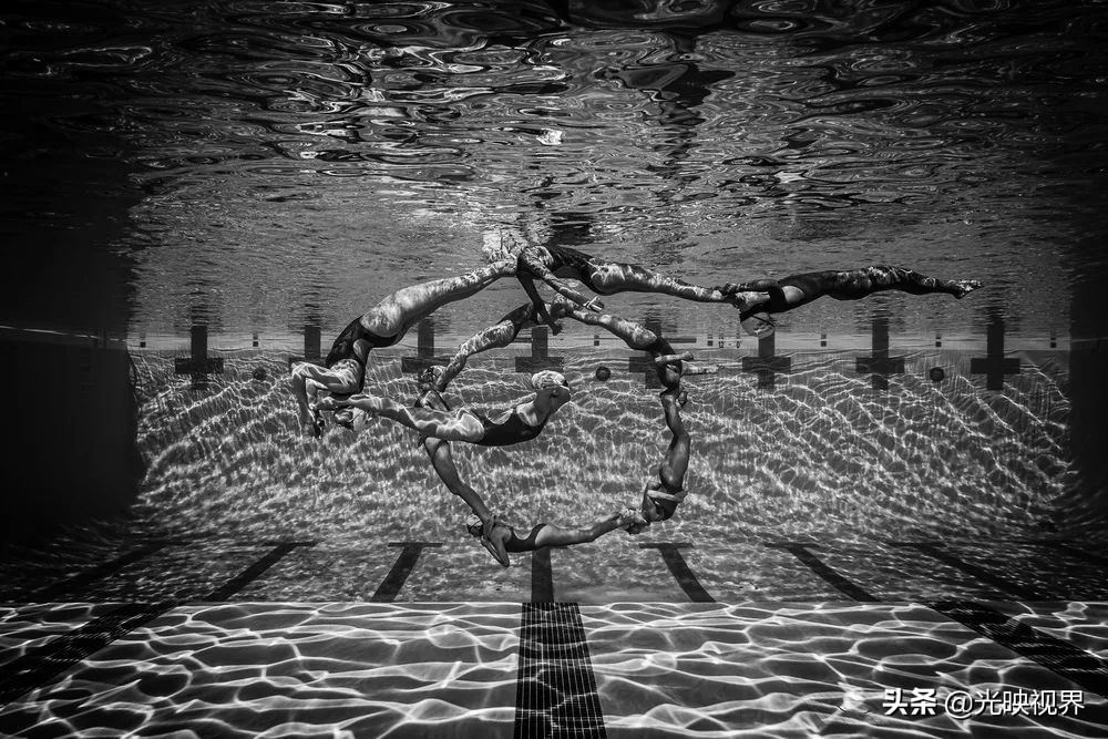 2022年度的ipa摄影大赛获奖作品,2020ippa摄影大赛奖项公布