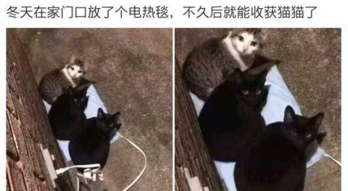 “喜欢绫波丽的男人脆弱还有恋母情结？”哈哈哈哈哈什么沙雕剧啊