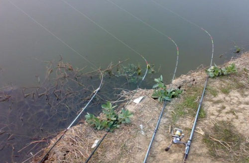 鲫鱼夏季串钩,冬天串钩鲫鱼最适合的钩型